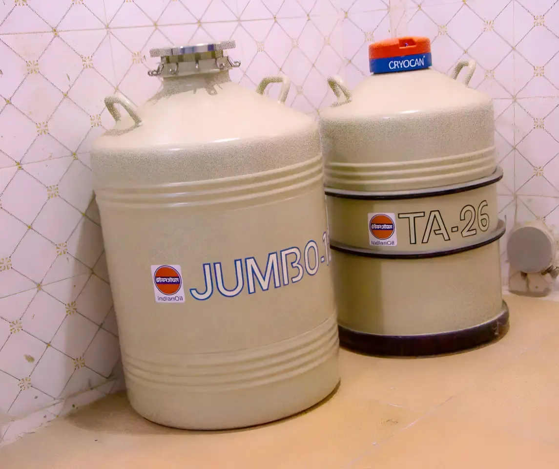 Gas Cylinders used in IVF.